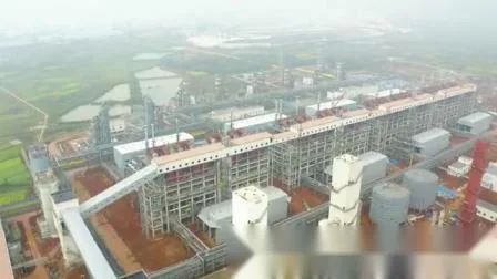 Газификатор с циркулирующим кипящим слоем производительностью 80000 нм3/ч производства Китая